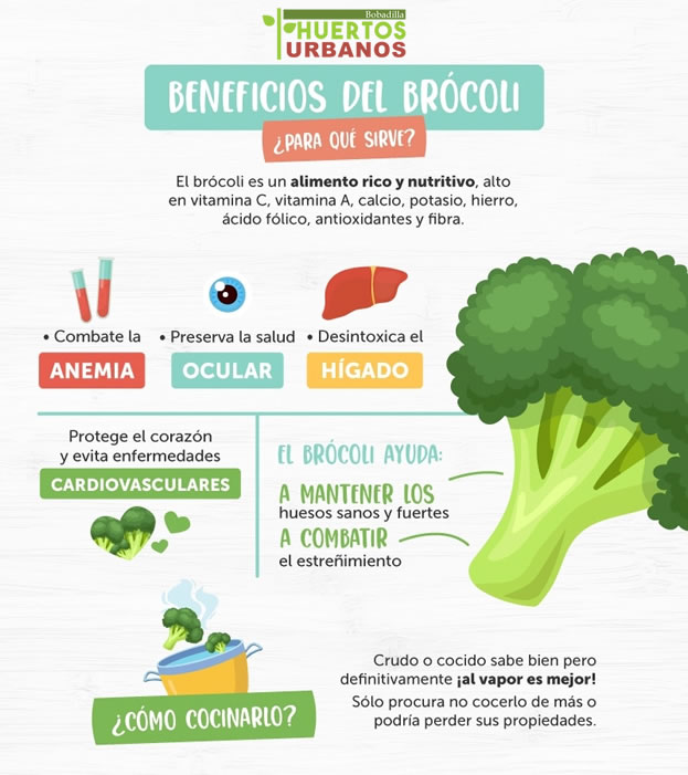 Brócoli de la Huerta