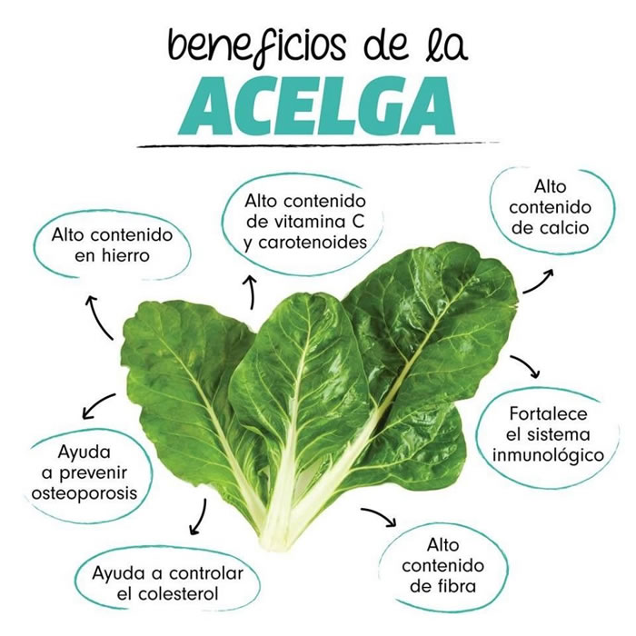 Acelgas de la Huerta