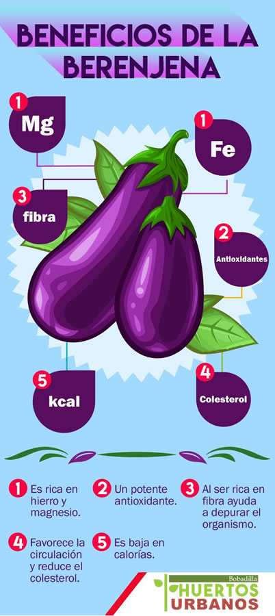 Beneficios de la Berenjena