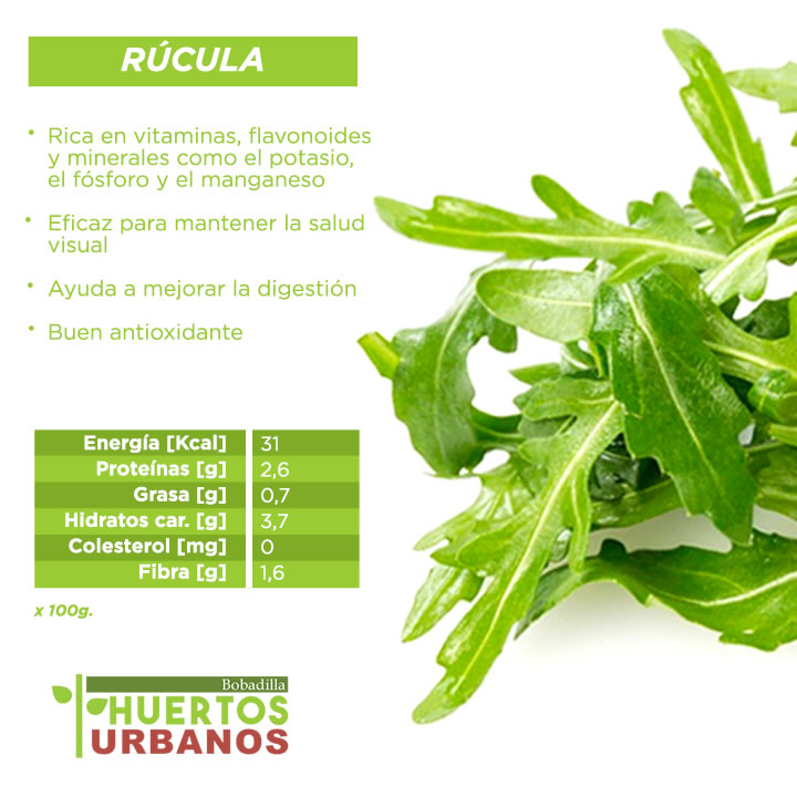 Rúcula de la huerta