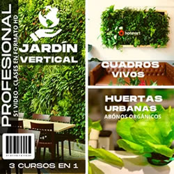 3 Cursos en 1: Jardín Vertical Profesional,Cuadros Vivos y Huertas Verticales.